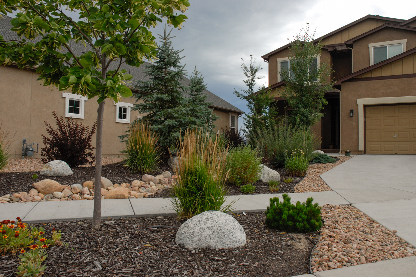 Mountain Motif Xeriscape